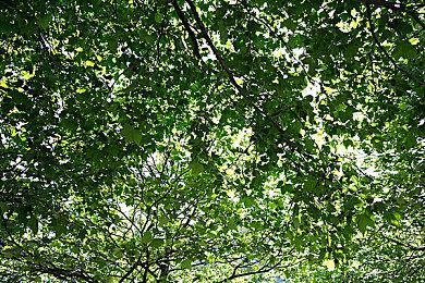 PS NOW五月新增游戏公开 《灵魂能力6》等