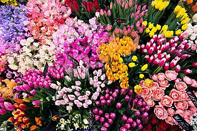  LGBTQ+创作者发布游戏捆绑包 以抵制《霍格沃茨之遗》