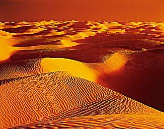 NEXTON 30周年纪念作品《ONE.》2023年冬季发售