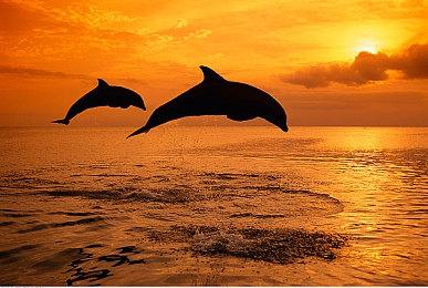 《战地1》已经发售7年了